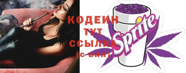 стаф Кинешма