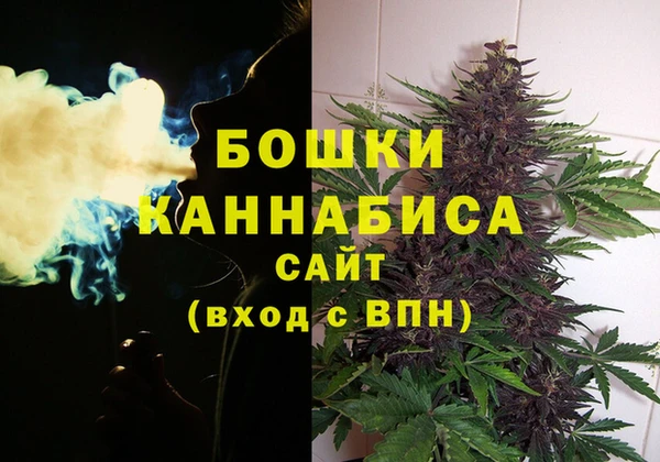 стаф Кинешма