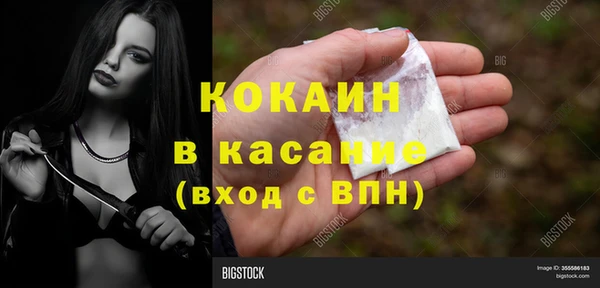 стаф Кинешма