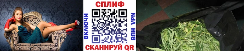 Купить  Ува  Канабис MAZAR 